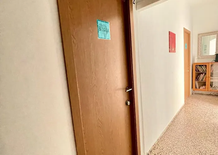 Rosa De Los Vientos: Estudios كاديز